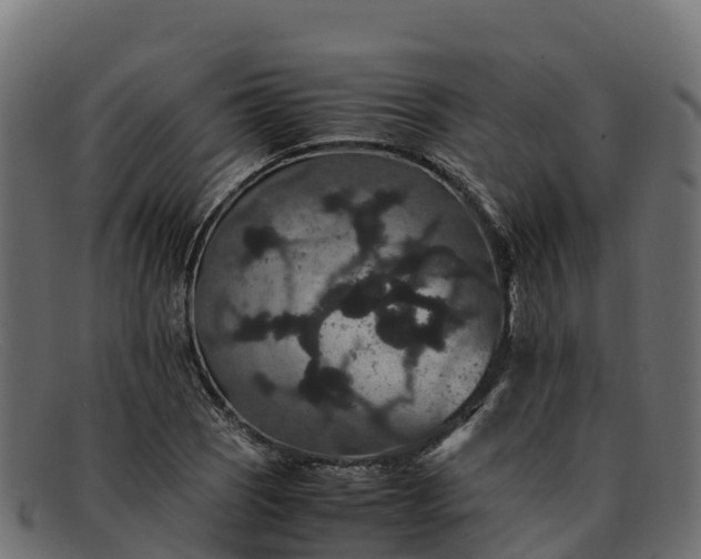 X0000091941121200709191415