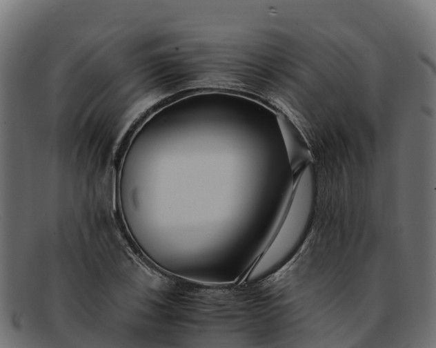 X0000091941123200709191415