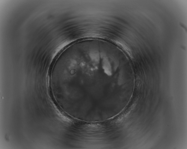 X0000091941125200709191415