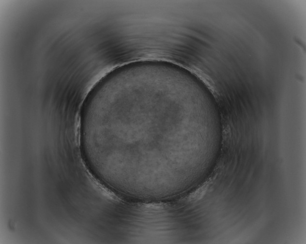 X0000091941126200709191415