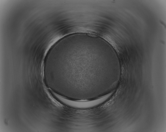 X0000091941128200709191415