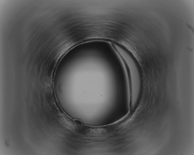 X0000091941129200709191415