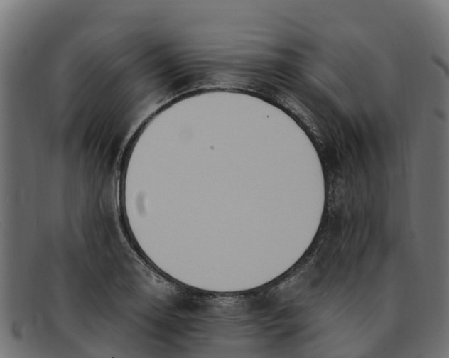 X0000091941130200709191415