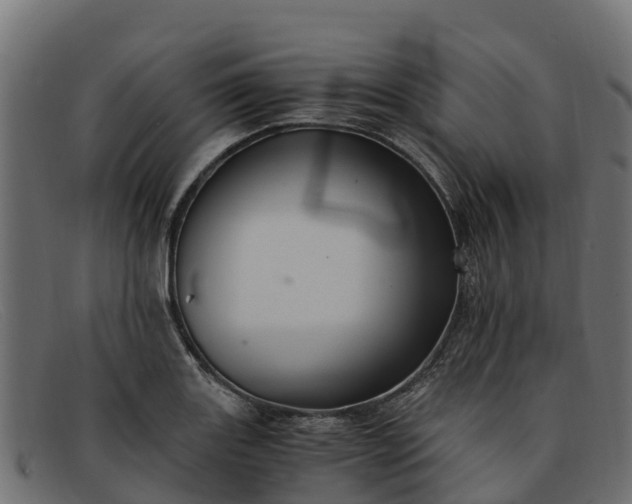 X0000091941131200709191415