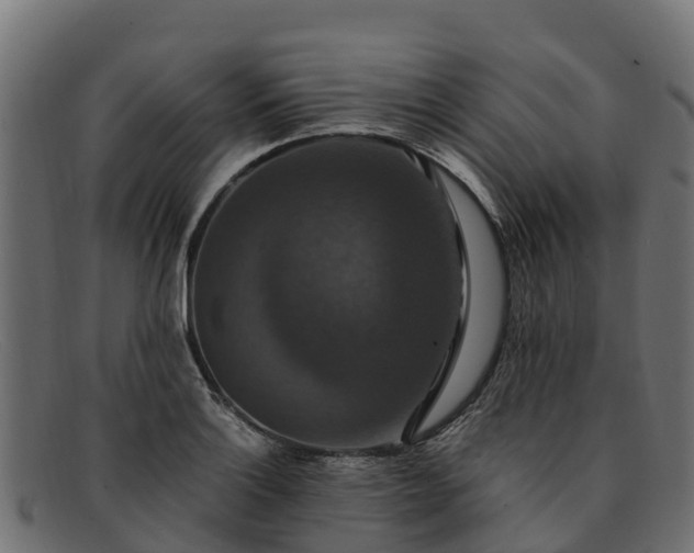 X0000091941132200709191415