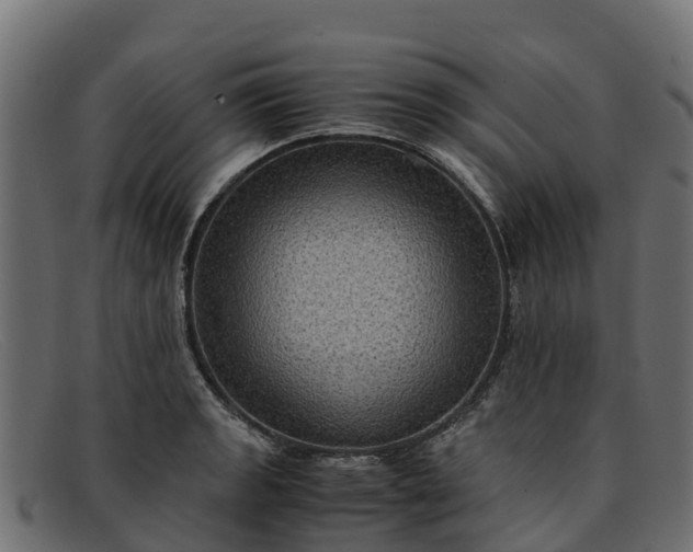 X0000091941133200709191415