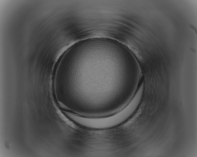 X0000091941134200709191415