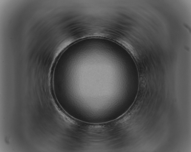 X0000091941135200709191415