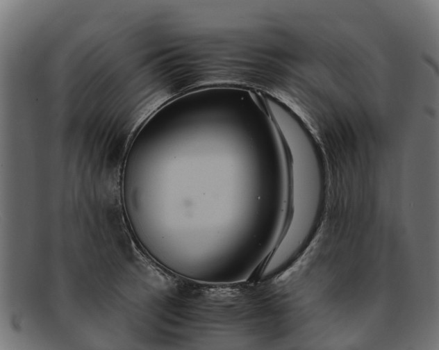 X0000091941137200709191415