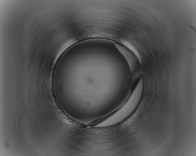 X0000091941138200709191415