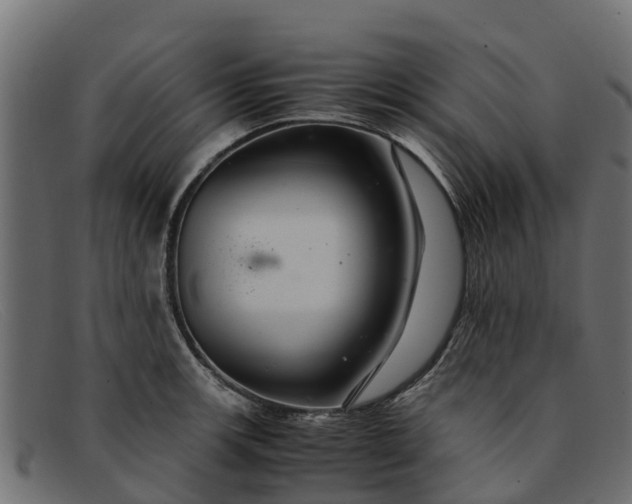 X0000091941139200709191415