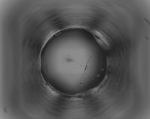 X0000091941140200709191415