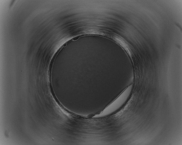 X0000091941141200709191415