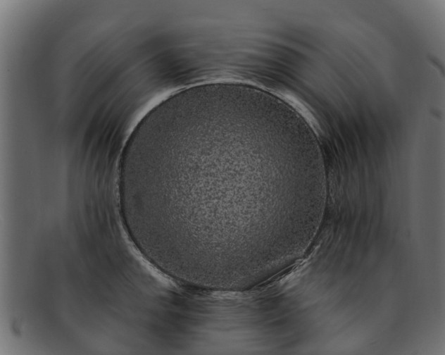 X0000091941142200709191415