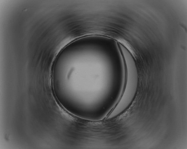 X0000091941143200709191415