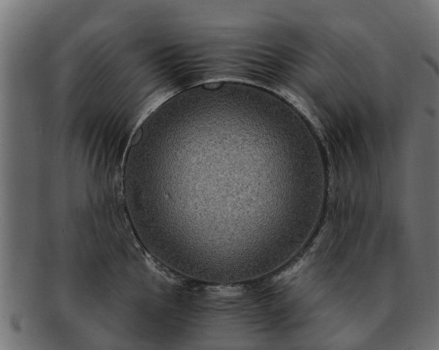 X0000091941145200709191415