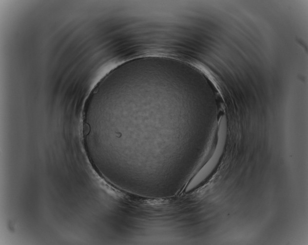 X0000091941147200709191415