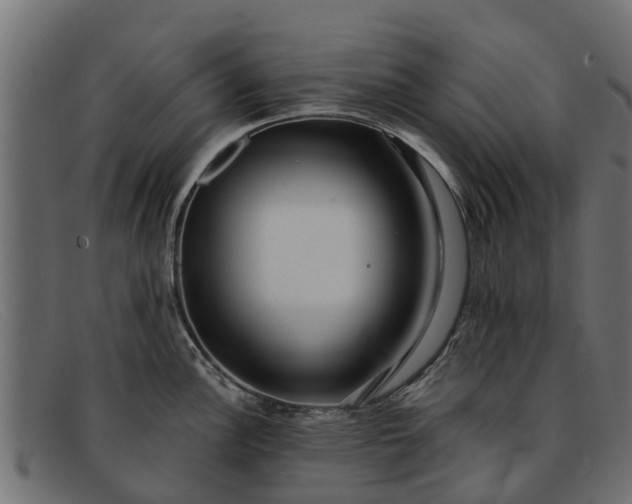 X0000091941148200709191415