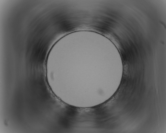 X0000091941150200709191415