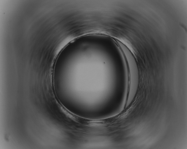 X0000091941151200709191415