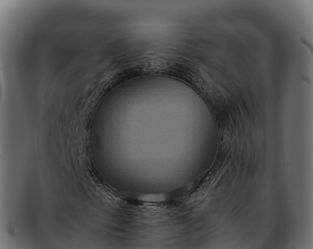 X0000091941153200709191414