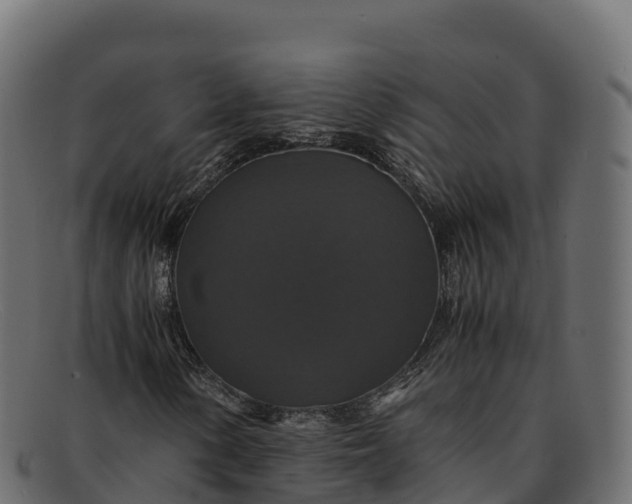 X0000091941154200709191414