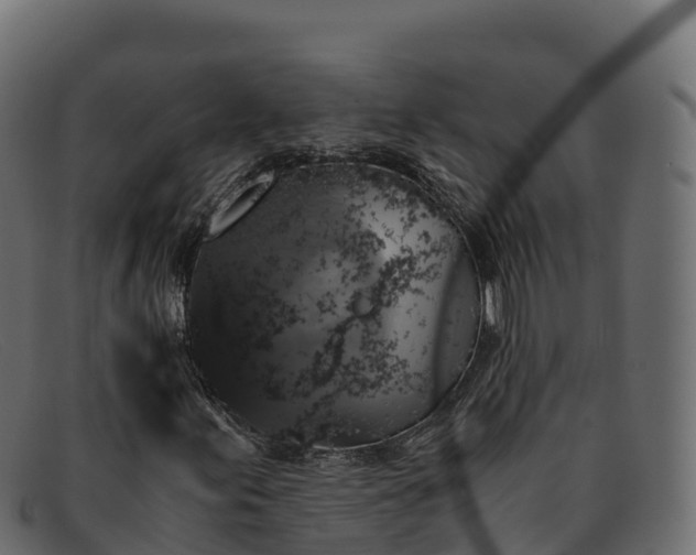 X0000091941155200709191414