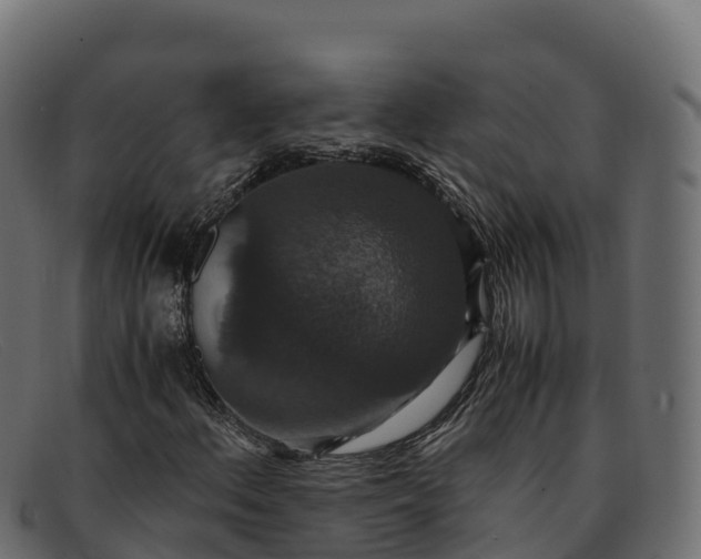 X0000091941156200709191414