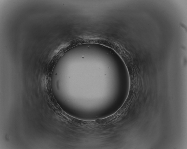 X0000091941157200709191414