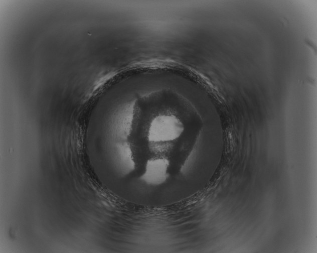 X0000091941158200709191414