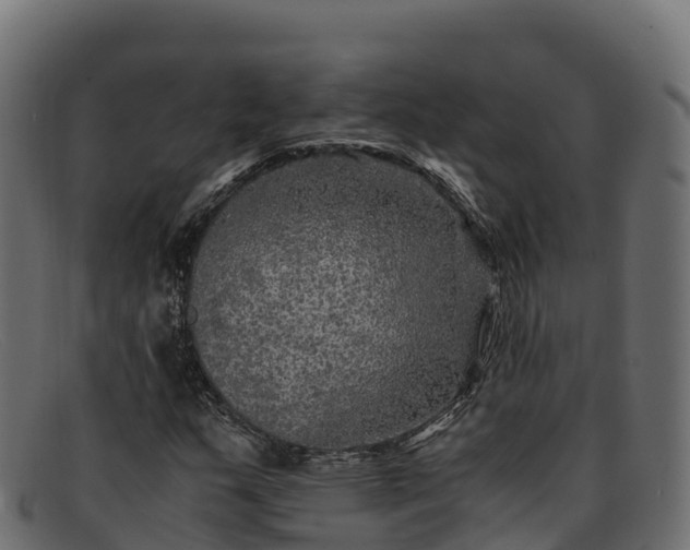 X0000091941159200709191414