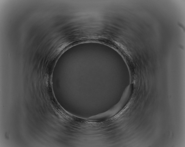 X0000091941161200709191414