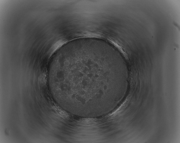 X0000091941163200709191414