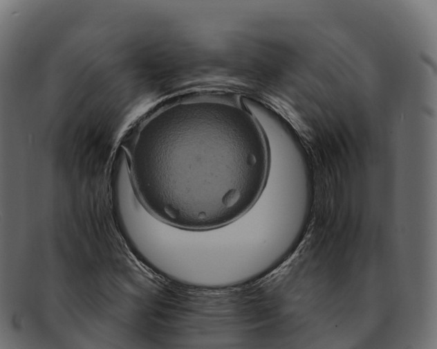 X0000091941164200709191414