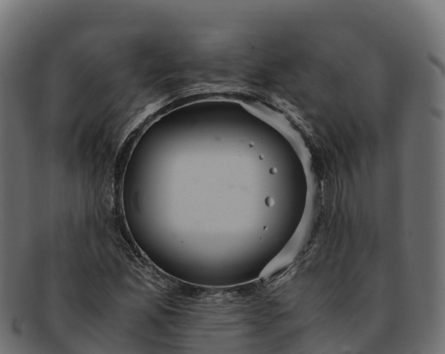 X0000091941165200709191414