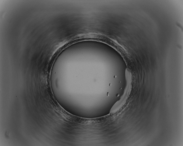 X0000091941166200709191414