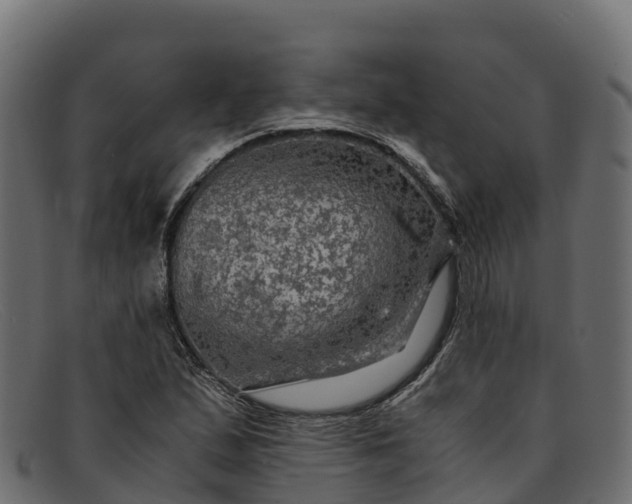 X0000091941167200709191414