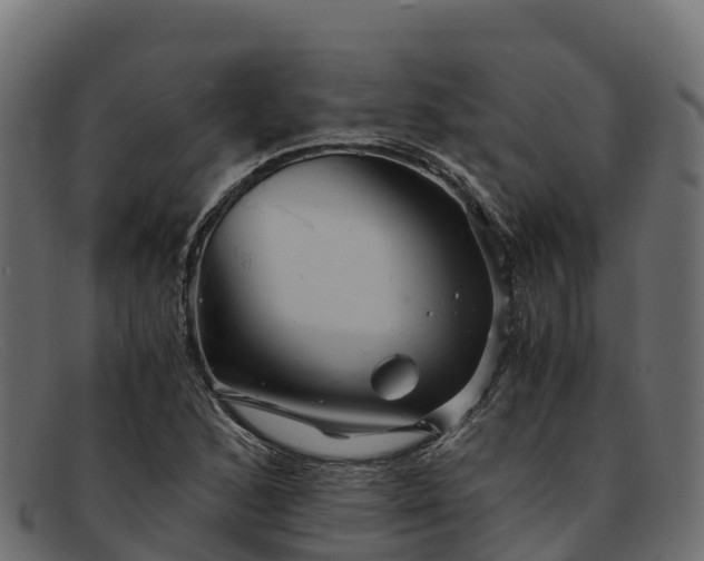 X0000091941168200709191414