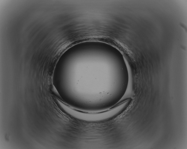 X0000091941169200709191414