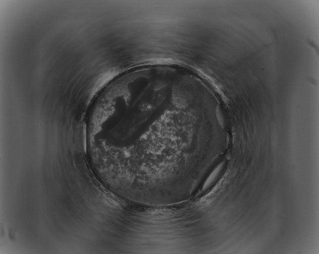 X0000091941171200709191414