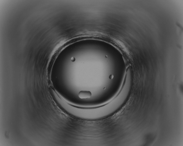 X0000091941172200709191414