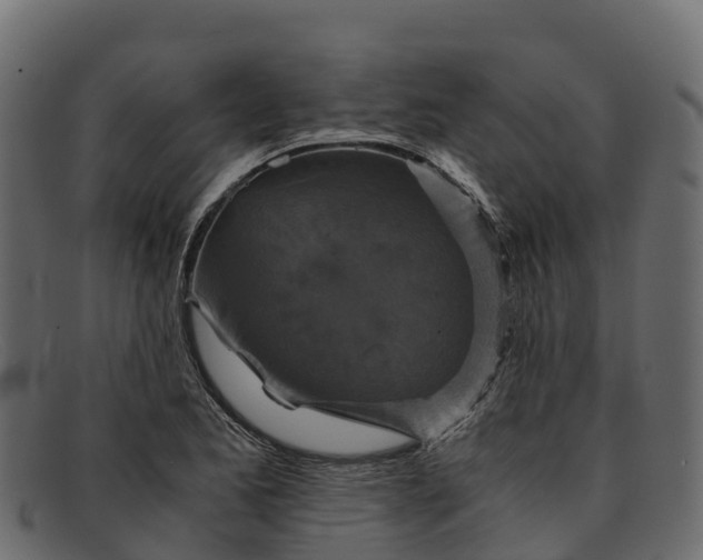 X0000091941173200709191414