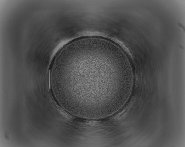 X0000091941175200709191414