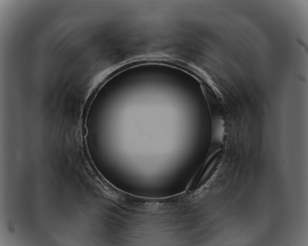 X0000091941176200709191414