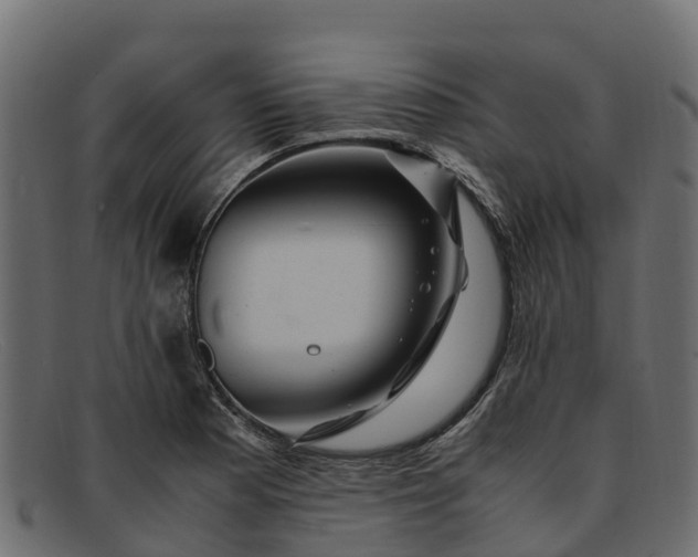 X0000091941177200709191414