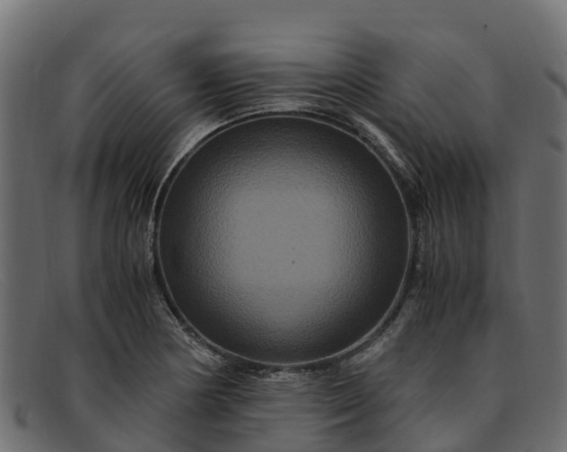 X0000091941178200709191414