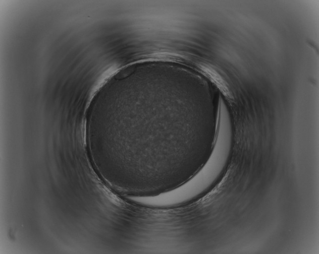 X0000091941180200709191414