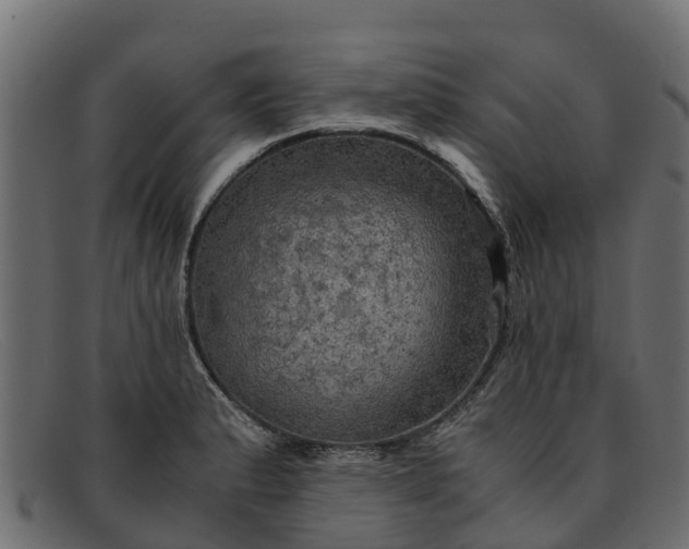 X0000091941183200709191414