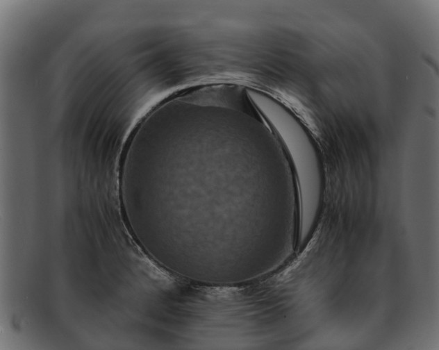 X0000091941184200709191414