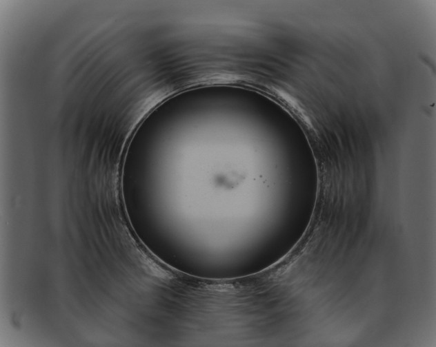 X0000091941186200709191414